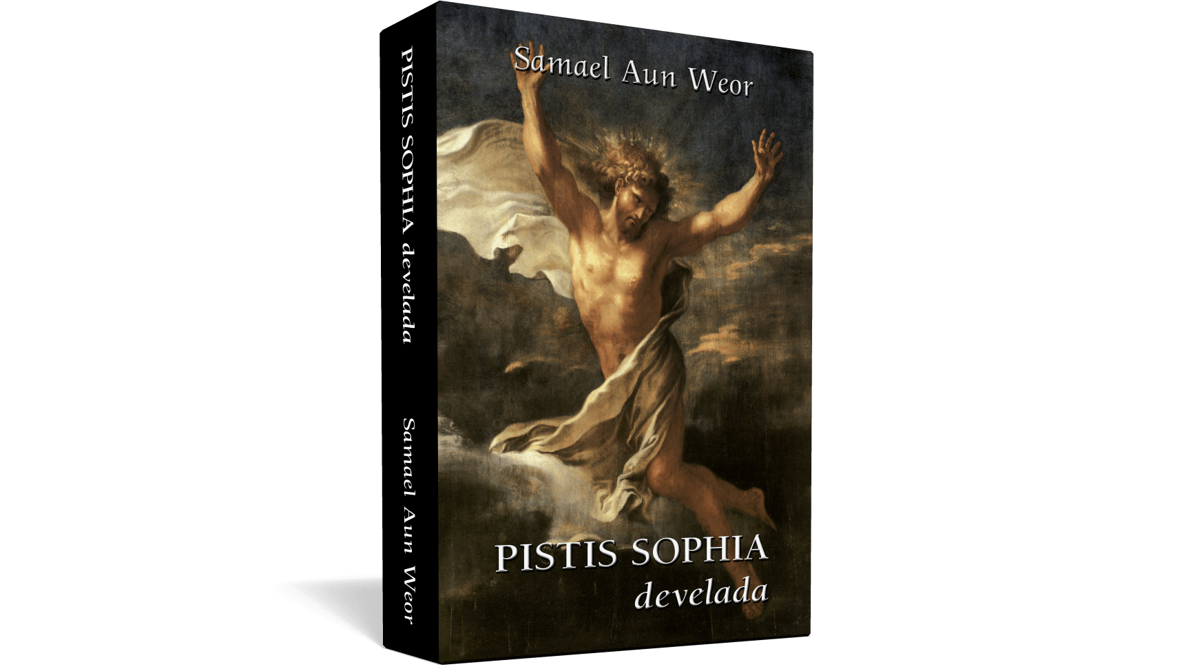 Pistis Sophia develada