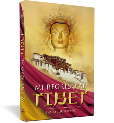 Mon retour au Tibet